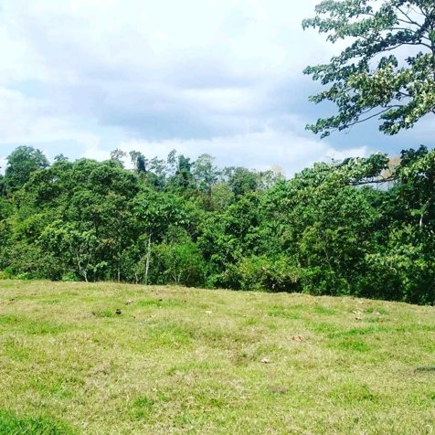 Excelente Finca a 5 minutos de Fortuna in La Fortuna, San Carlos, Alajuela — $3,000,000 - Photo 3 of 14