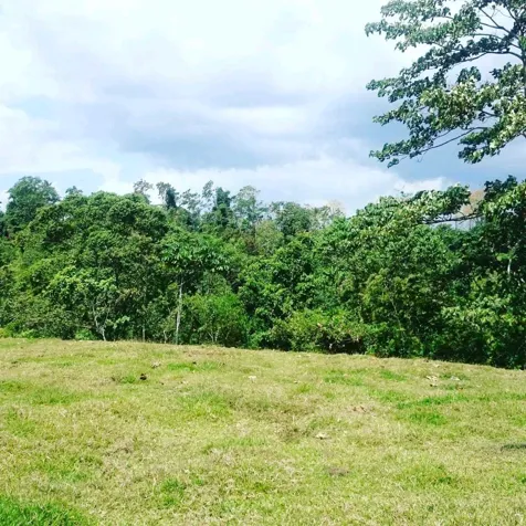 Excelente Finca a 5 minutos de Fortuna en La Fortuna, San Carlos, Alajuela — $3,000,000 - Foto 3 de 14