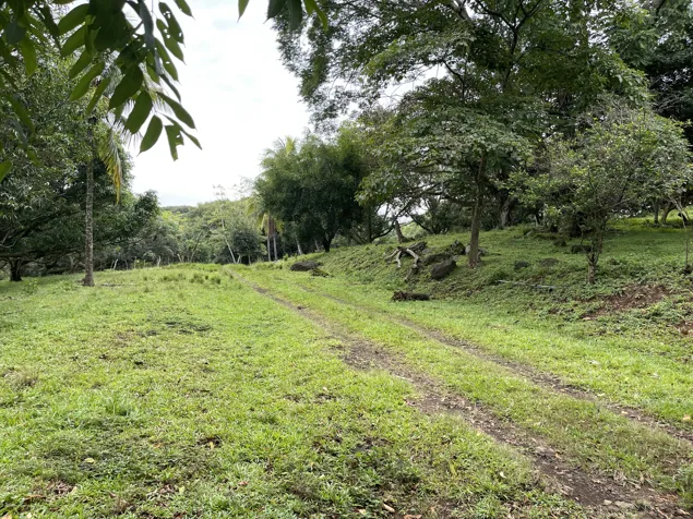 La Garita Alajuela, propiedad para desarrollo 6.2 hectareas en Garita, Alajuela — $2,500,000