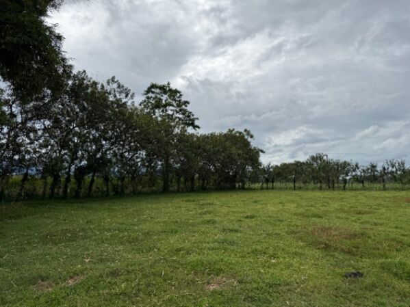 Finca San Jorge La Fortuna en La Fortuna, San Carlos, Alajuela — ₡ 35 000 000