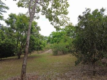 MLS-23-2437 VENTA LOTE OROTINA ALAJUELA in Orotina, Alajuela — 80 000 000 ₡ - Photo 5 of 10