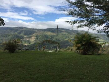 Venta de Finca en Turrialba-Cartago. RAH 26-1245 in La Suiza, Turrialba, Cartago — 95 000 000 ₡ - Photo 5 of 6