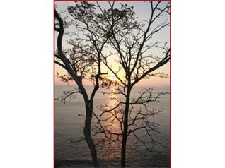 DEVELOPERS DREAM BEACHFRONT PARCEL IN PLAYA AGUJA en Jacó, Garabito, Puntarenas — $80,000,000 - Foto 4 de 7