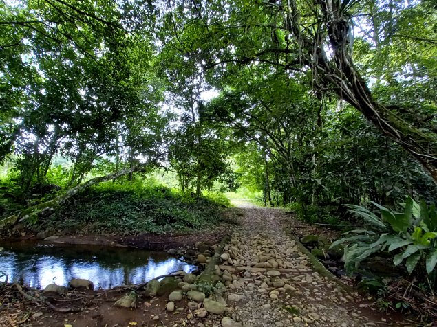 Finca con nacientes y río en La Unión de San Pedro, Pérez Zeledón in San Pedro, Pérez Zeledón, San José — $270,000 - Photo 2 of 10