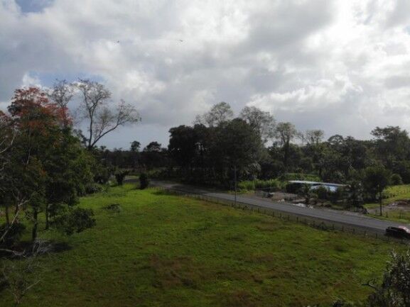Se vende amplio terreno con 29.8 hectáreas en Matama de Limón 25-1361 in Matama, Limón — $2,000,000