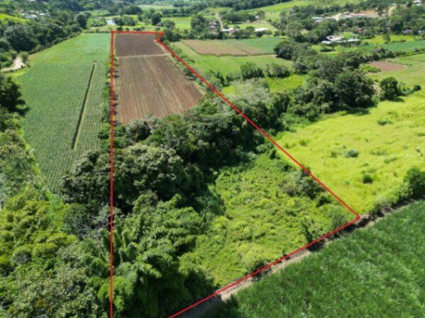 Propiedad 31,157.53 metros cuadrados. Finca. Terreno. en San Isidro De El General, Pérez Zeledón, San José — ₡ 120 000 000