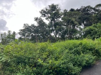 Venta de Maravilloso Lote de Terreno en La Unión, Cartago / Mls. 26-740 en San Ramón, La Unión, Cartago — $240,000 - Foto 3 de 5