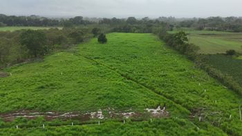 Lotes Financiados con Vista al Volcán a 18min de Fortuna☎️ 8751-4191 in La Fortuna, San Carlos, Alajuela — 23 000 000 ₡ - Photo 4 of 6