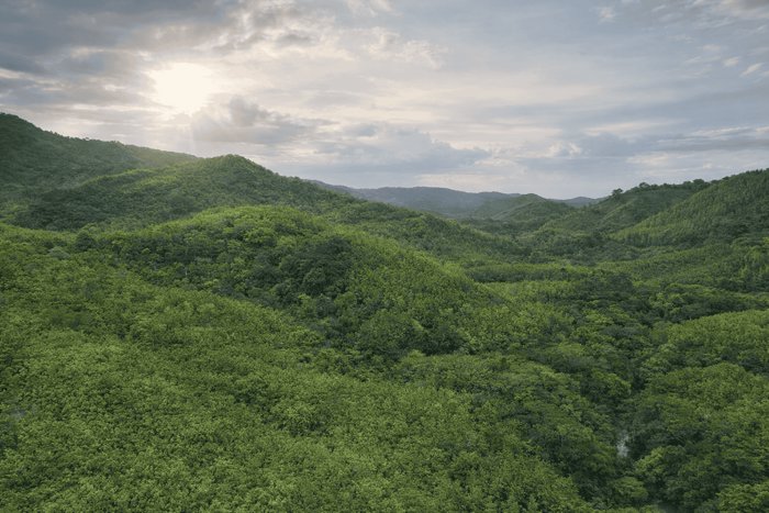 782 ha Finca - Camaronal, Santa Marta de Hojancha en Nosara, Nicoya, Guanacaste — $10,000,000 - Foto 2 de 15