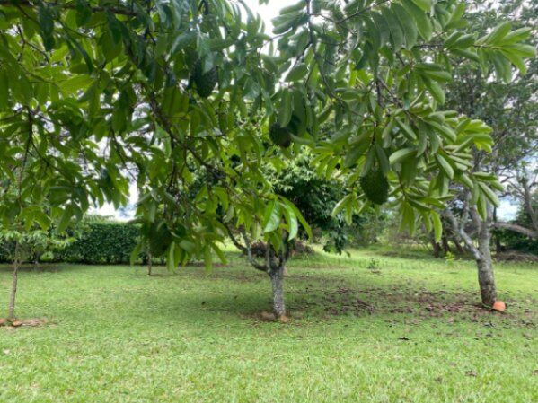 URGE VENDER. SE FINANCIA en Jesús María, San Mateo, Alajuela — ₡ 44 900 000