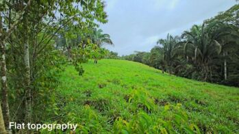BEAUTIFUL LAND FOR SALE IN THE HEART OF SAN FRANCISCO DE CAJON, 96 ACRES in Cajón, Pérez Zeledón, San José — $900,000 - Photo 4 of 19