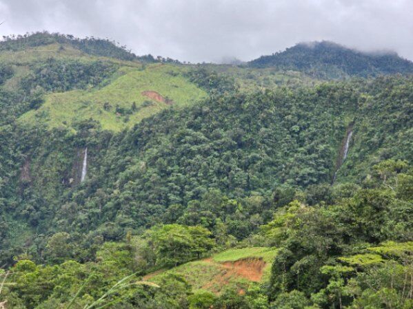 FINCA EN RÍO NUEVO DE SAVEGRE, UN PARAÍSO NATURAL EN EL CORAZÓN DEL PACÍFICO SUR DE COSTA RICA en Río Nuevo, Pérez Zeledón, San José — $300,000