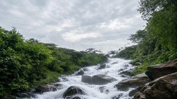 782 ha Finca - Camaronal, Santa Marta de Hojancha en Nosara, Nicoya, Guanacaste — $10,000,000 - Foto 5 de 15