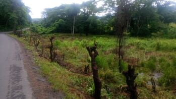 Finca en Venta Caldera, Esparza, Puntarenas