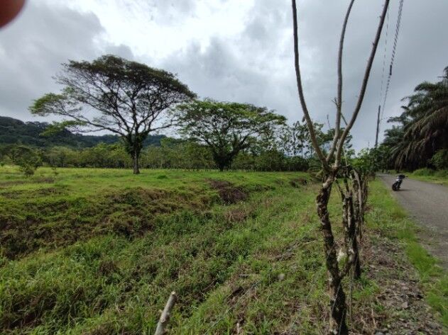 SE VENDE ESPECTACULAR FINCA EN QUEPOS, PUNTARENAS.  en Quepos, Puntarenas — $250,000