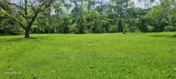 Venta de Propiedad en La Tigra de San Carlos in Pital, San Carlos, Alajuela — 140 000 000 ₡ - Photo 4 of 20