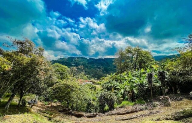 Lote  en Patarra dentro del Condominio Veramont 1919 m2. Con Vista V44 in Patarrá, Desamparados, San José — ₡ 37 000 000