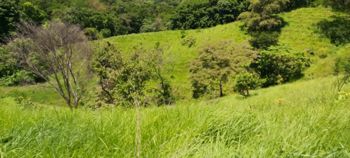 VENTA DE FINCA, PUNTARENAS, MONTAÑA GRANDE, LEPANTO in Lepanto, Puntarenas — $606,715 - Photo 2 of 11
