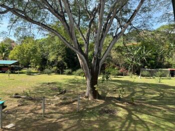 Se vende amplia finca de 2.4 hectáreas en Concepción de Heredia 25-1225 en Concepción, Atenas, Alajuela — $550,000 - Foto 5 de 21