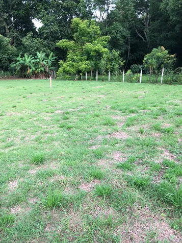 Venta de lote # 2 en Rio Grande, Atenas in Atenas, Alajuela — ₡ 25 000 000