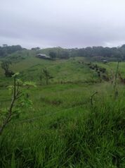 ESPECIAL FINCA GANADERA EN TURRUBARES, SAN JOSÉ.  en Carara, Turrubares, San José — $1,000,000 - Foto 4 de 8