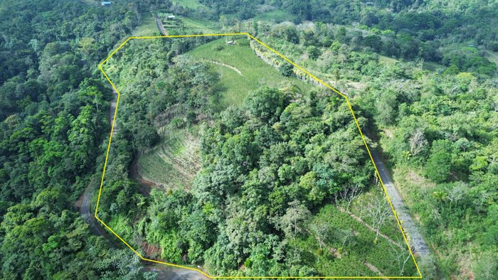 Finca Agricola Turística 5,5 Ha. in San Ramón, Alajuela — $200,000