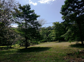 SE VENDE TERRENO EN QUEBRADA GANADO, PUNTARENAS en Jacó, Garabito, Puntarenas — $140,000 - Foto 5 de 16