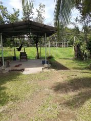 VENTA DE FINCA AGRICOLA, HEREDIA, SARAPIQUI, HORQUETAS en Las Horquetas, Sarapiquí, Heredia — 120 000 000 ₡ - Foto 4 de 14