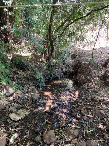 Propiedad con vista al golfo. in Bejuco, Nandayure, Guanacaste — ₡ 160 000 000