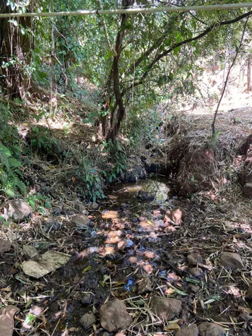 Propiedad con vista al golfo. en Bejuco, Nandayure, Guanacaste — ₡ 160 000 000 - Foto 3 de 26