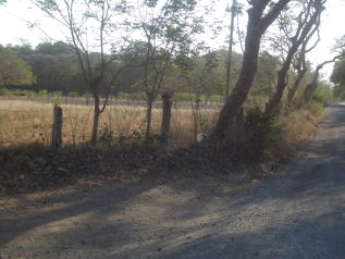 Finca 5 Ha camino a San Blas Sardinal in Sardinal, Carrillo, Guanacaste — $450,000 - Photo 5 of 5