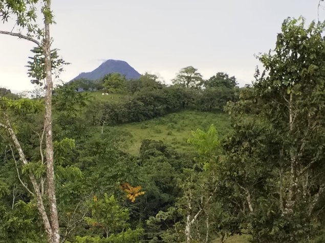 DE OPORTUNIDAD BELLA FINCA EN MONTERREY DE SAN CARLOS. en Monterrey, San Carlos, Alajuela — 200 000 000 ₡ - Foto 1 de 23