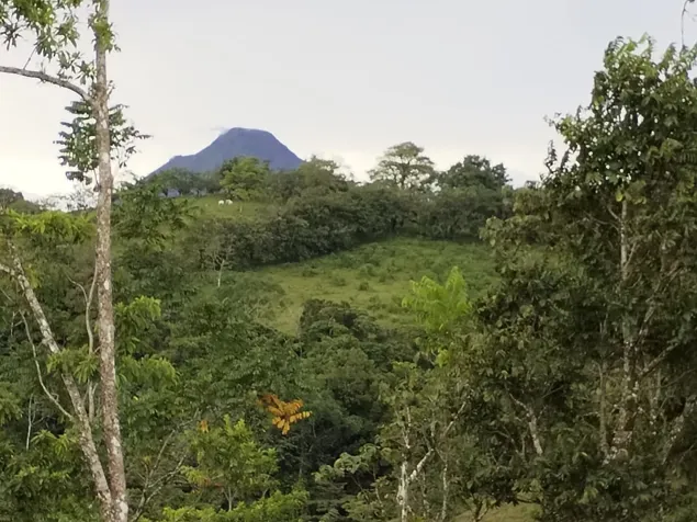 DE OPORTUNIDAD BELLA FINCA EN MONTERREY DE SAN CARLOS. en Monterrey, San Carlos, Alajuela — ₡ 200 000 000