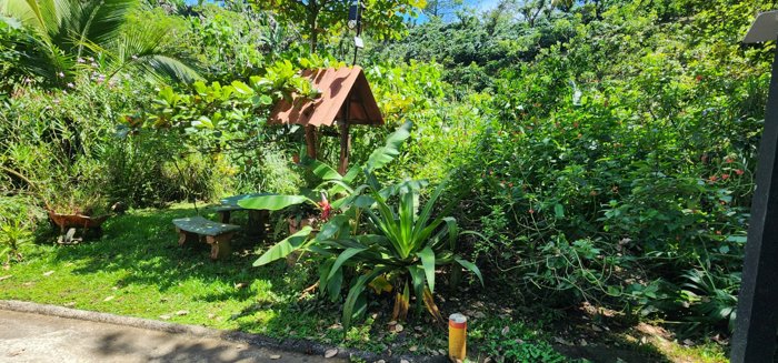 Cabaña en alquiler en Sarchi - Un oasis de paz con río al fondo en Alajuela — $700 - Foto 3 de 28