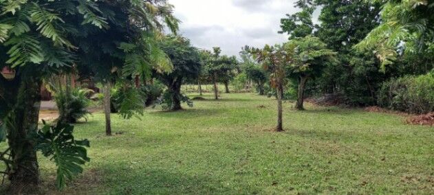BELLÍSIMA QUINTA EN SAN PABLO DE TURRUBARES.  en San Pablo, Turrubares, San José — ₡ 90 000 000