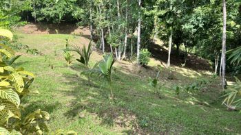 SE VENDE TERRENO CON CATARATA PRIVADA, BOSQUE Y VISTAS A LA MONTAÑA EN TIERRAS MORENAS DE SAVEGRE in Savegre, Quepos, Puntarenas — $97,000 - Photo 5 of 18