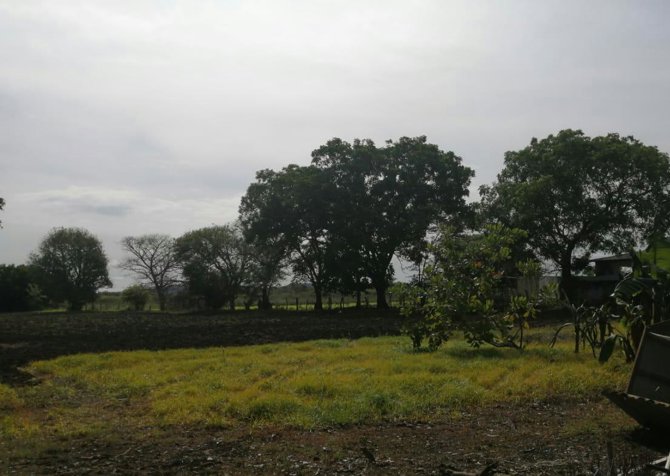 VENTA DE LOTE ALTA DENSIDAD, GUANACASTE, CARRILLO, PALMIRA in Palmira, Carrillo, Guanacaste — $544,135