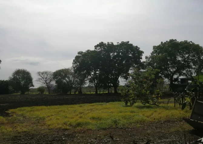 VENTA DE LOTE ALTA DENSIDAD, GUANACASTE, CARRILLO, PALMIRA en Palmira, Carrillo, Guanacaste — $544,135