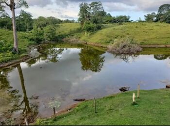 Finca en Venta Pocosol, San Carlos, Alajuela