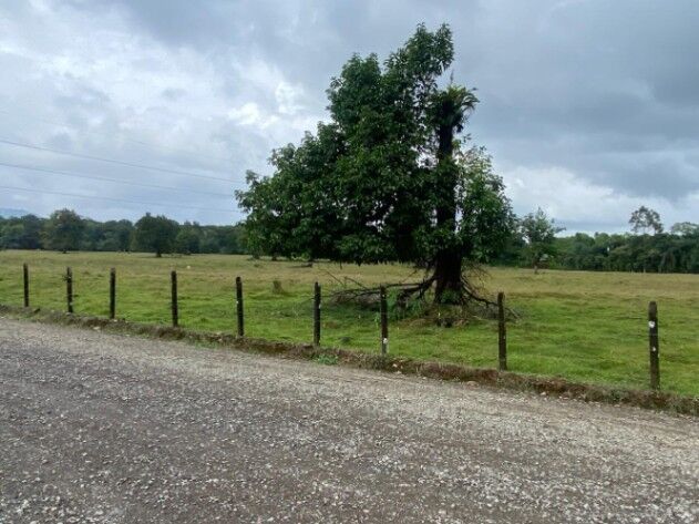 Se vende LOTE en SARAPIQUÍ, HEREDIA en Las Horquetas, Sarapiquí, Heredia — ₡ 17 000 000
