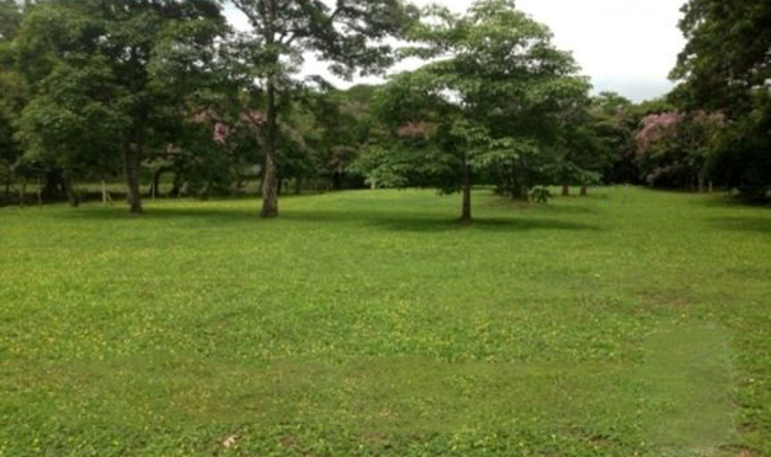 VENTA DE LOTE PARA DESARROLLO RESIDENCIAL, ALAJUELA, EL COYOL en Alajuela — ₡ 175 000 000