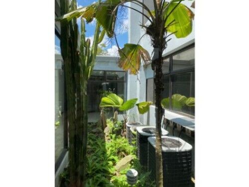 ALQUILER DE EDIFICIO PARA OFICINAS, SAN JOSÉ, SABANA SUR - 6803739 en Mata Redonda, San José — $14,560