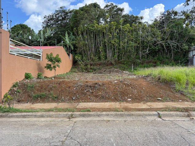 Venta de lote en Buenos Aires de Palmares en Palmares, Alajuela — ₡ 24 750 000 - Foto 2 de 13