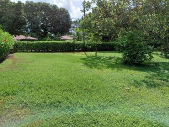 MLS-26-257 VENTA LOTE LA CEIBA OROTINA in La Ceiba, Orotina, Alajuela — 30 000 000 ₡ - Photo 4 of 7