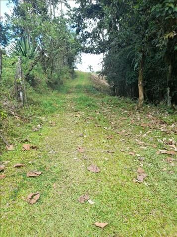 VENTA DE LOTE, LIMÓN, SIQUIRRES, LA ALEGRÍA in Siquirres, Limón — ₡ 70 000 000
