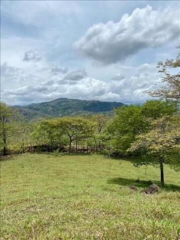 SE VENDE ESPECTACULAR FINCA EN ESCOBAL DE ATENAS. en Escobal, Atenas, Alajuela — ₡ 424 000 000