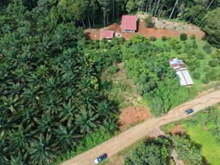 SE VENDE TERRENO LISTO PARA CONSTRUIR EN LAS BRISAS DE CAJON en Cajón, Pérez Zeledón, San José — 15 000 000 ₡ - Foto 3 de 7