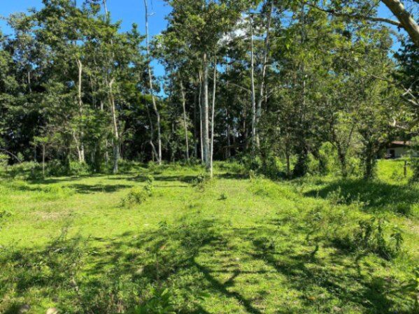 Venta de Lote en Grecia, Alajuela. RAH 25-1784 en Grecia, Alajuela — $45,000