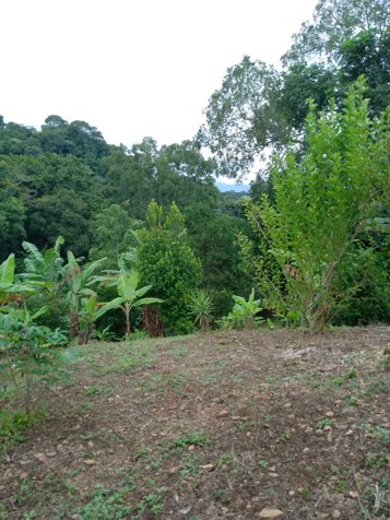​Exclusividad y Naturaleza: Terreno de 4,216 m² en Atenas en Atenas, Alajuela — ₡ 75 000 000 - Foto 3 de 11