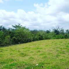 Lote en Venta La Fortuna, San Carlos, Alajuela